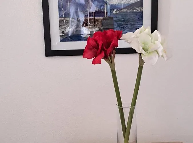 Apartament La Casa Sul Porto *